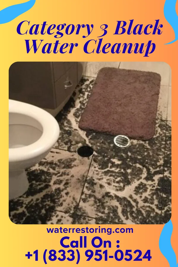 Category 3 Black Water Cleanup in Tiskilwa, IL