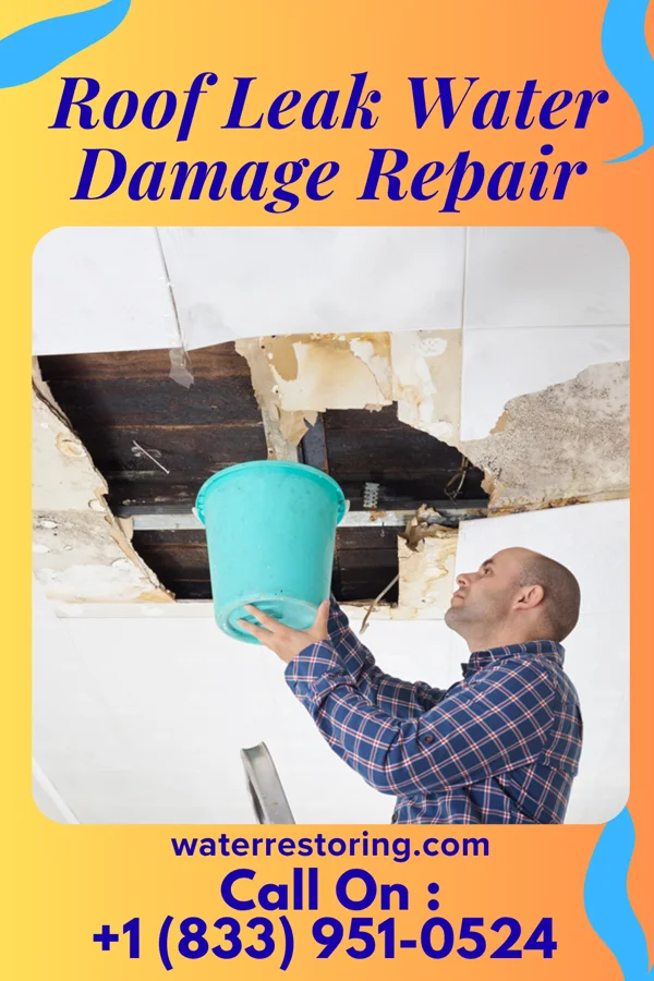 Roof Leak Water Damage Repair in Tiskilwa, IL